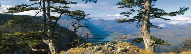TARA NATIONAL PARK